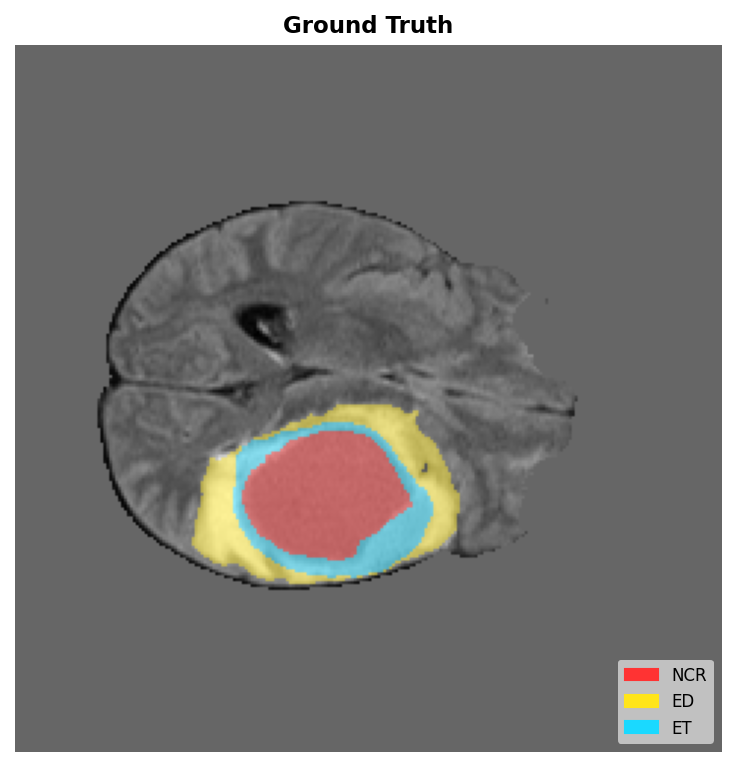 Ground truth segmentation